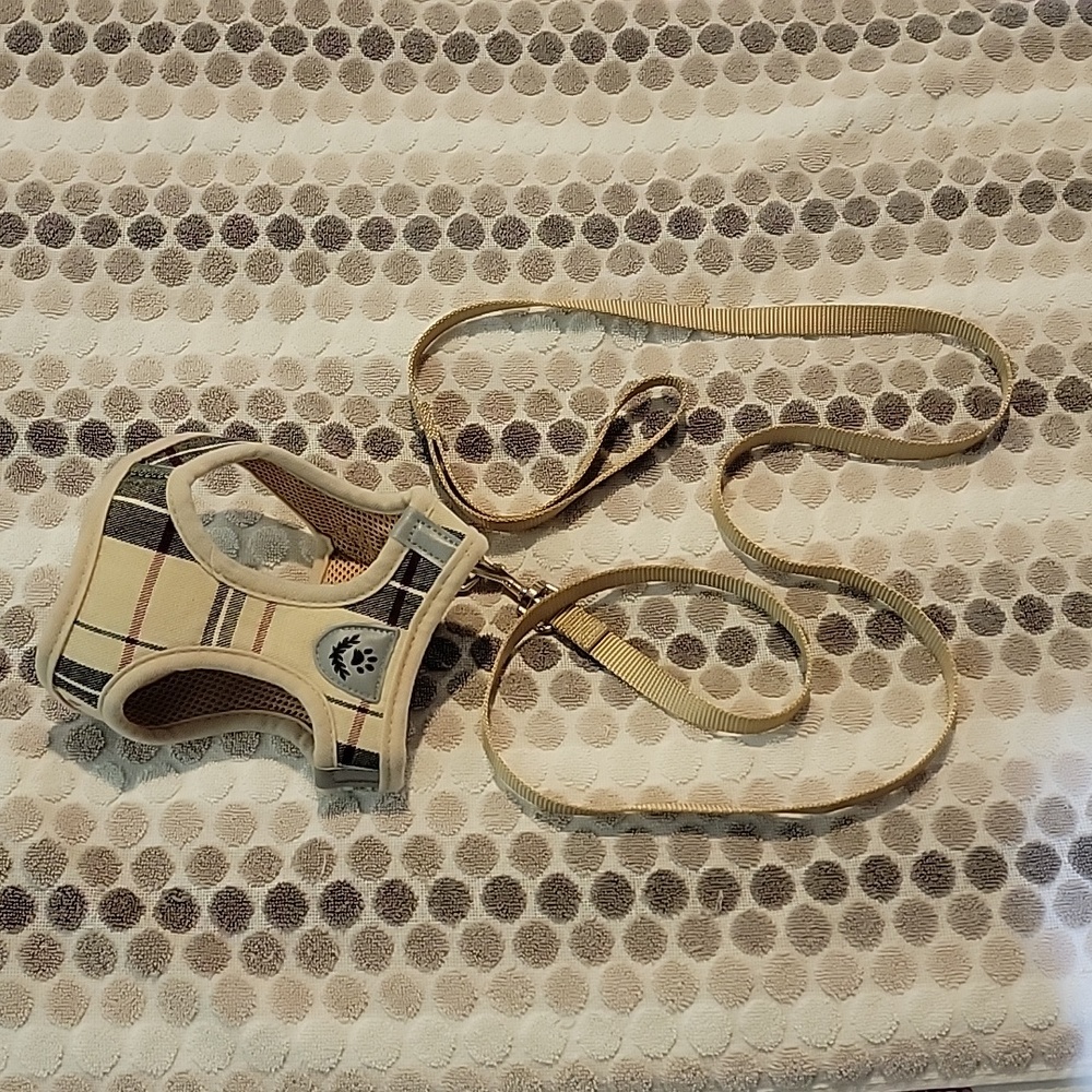 Cat leash